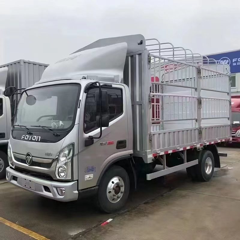 Kargo Pagar Foton Aumark E