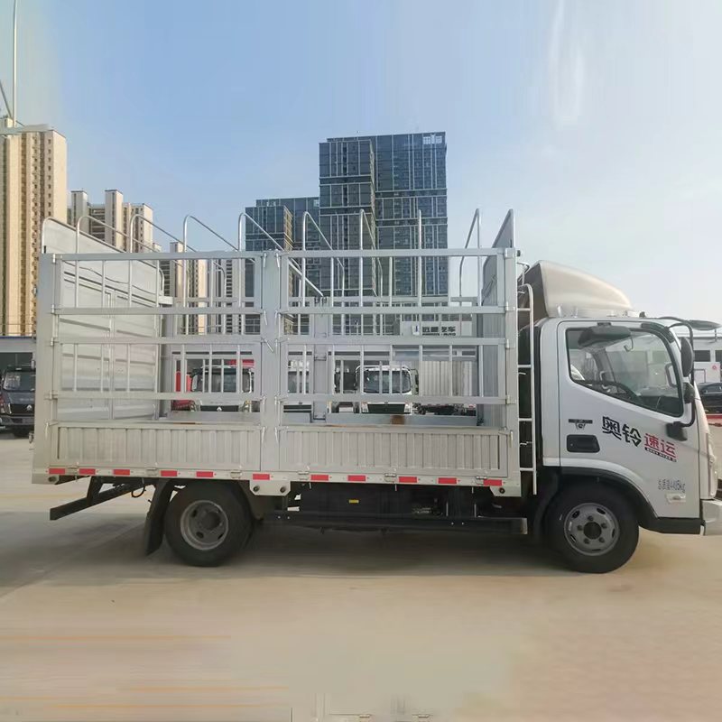 Kargo Pagar Foton Aumark E