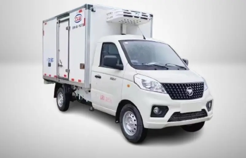 Foton Small Truck