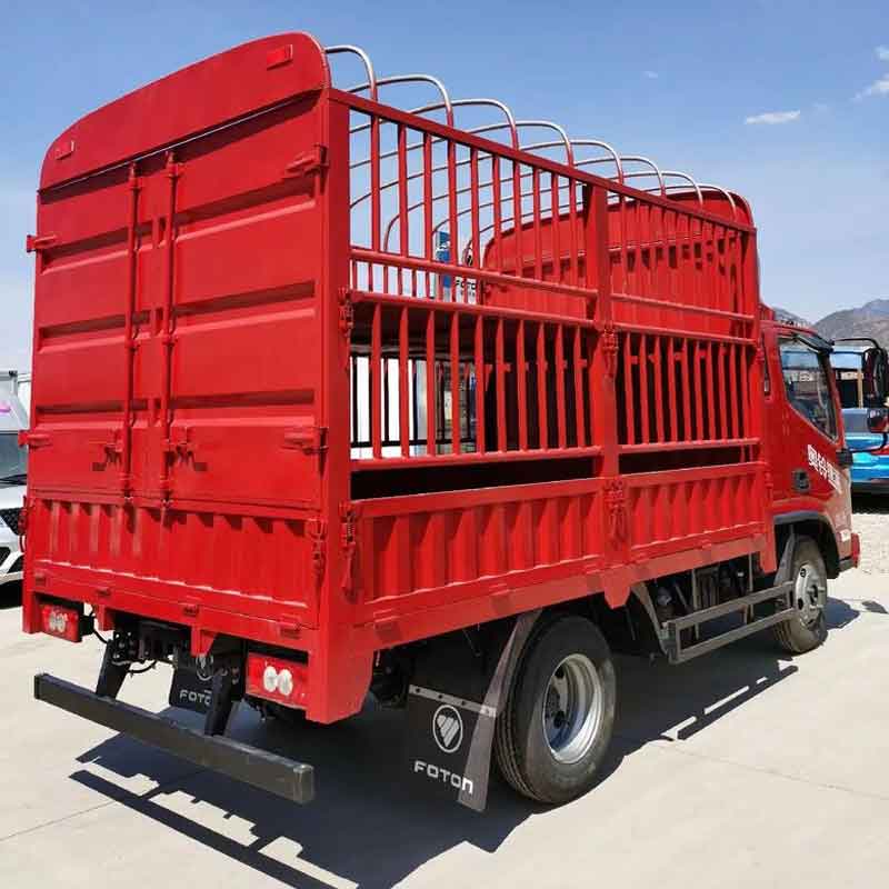 Foton Aoling MRT Youth Invincible Edition 146 tenaga kuda, truk ringan dengan kisi-kisi kompartemen baris tunggal 4,17 m