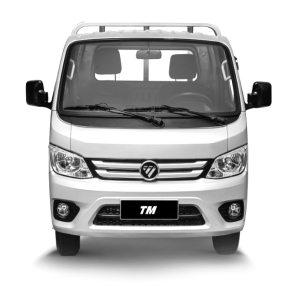 FOTON TM3 Simple Cabin
