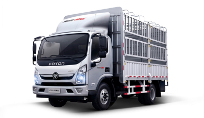 Kargo Pagar Foton Aumark E