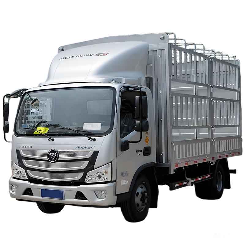 Truk Ringan Tipe Grid Baris Tunggal Futian Aumark S1