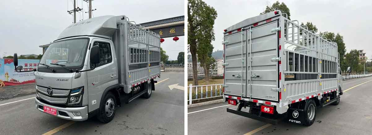 Truk Ringan Tipe Grid Baris Tunggal Futian Aumark S1