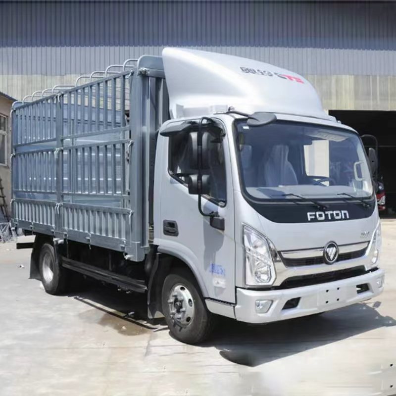 Kargo Pagar Foton Aumark E