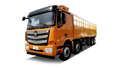 Kargo Pagar Foton Auman EST