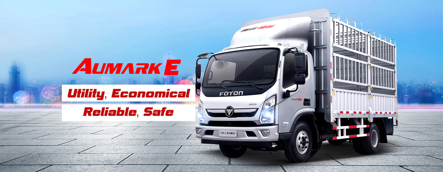 Foton Aumark E Fence Cargo