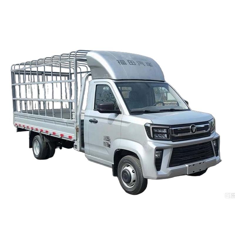 Мини-грузовик Foton Xiangling V5 Pure Electric коробчатого типа