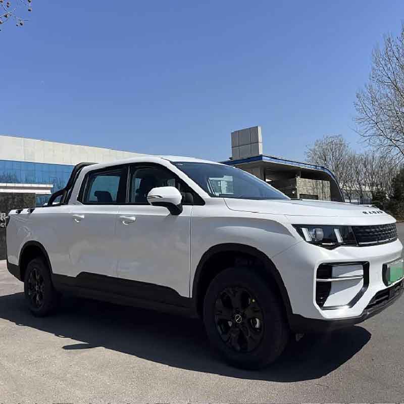 Radar King Kong EV 2025 с двумя ведущими колесами