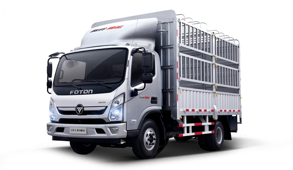 Kargo Pagar Foton Aumark E